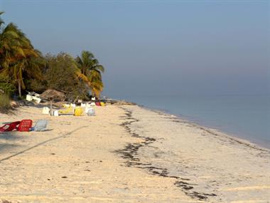 2004 Cuba, Maria la Gorda - Cayo Levisa, DSC00650 B_B720